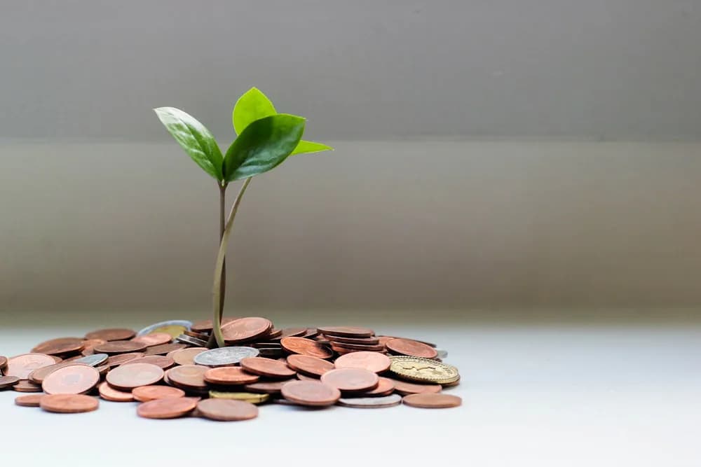 Building wealth